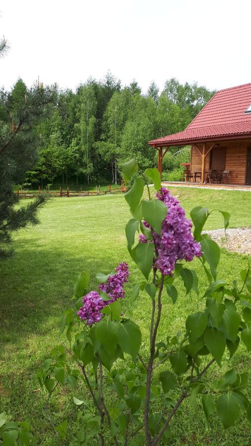 Dom Nad Dolina Sanu Villa Ruszelczyce Esterno foto