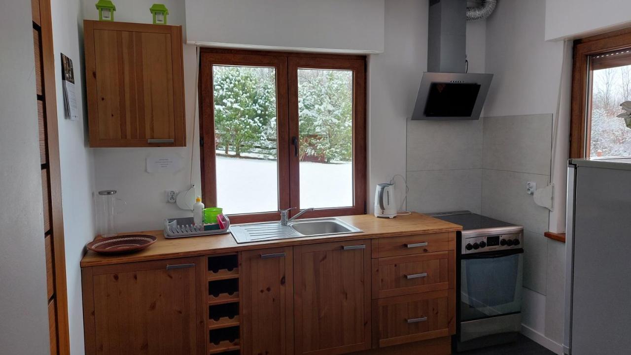 Dom Nad Dolina Sanu Villa Ruszelczyce Esterno foto