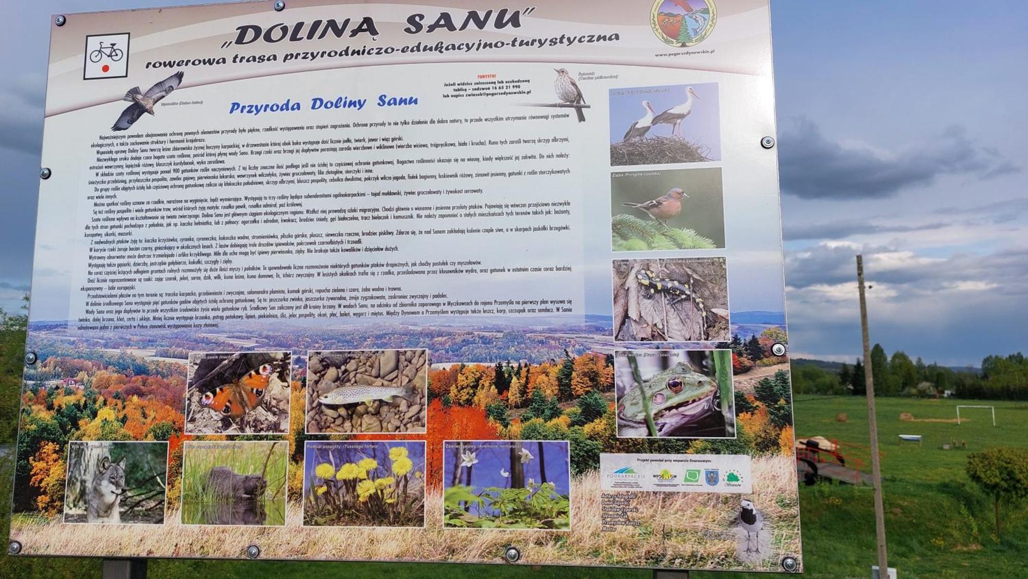 Dom Nad Dolina Sanu Villa Ruszelczyce Esterno foto