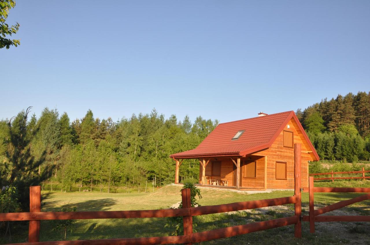 Dom Nad Dolina Sanu Villa Ruszelczyce Esterno foto