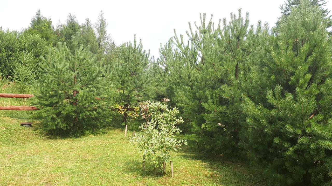Dom Nad Dolina Sanu Villa Ruszelczyce Esterno foto